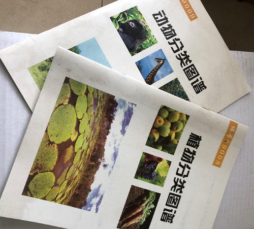 動(dòng)物、植物分類圖譜